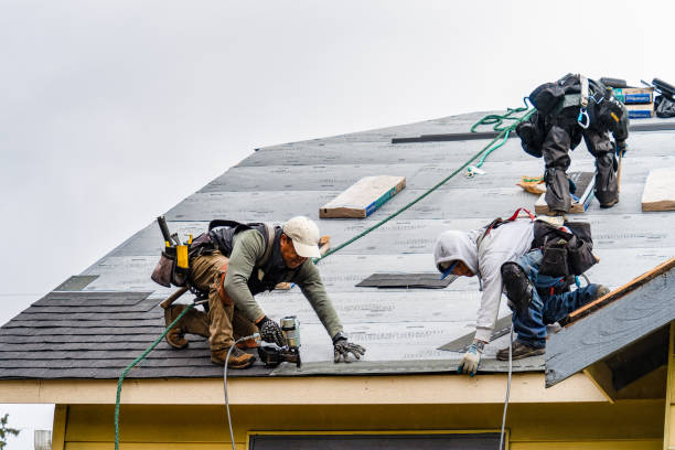Professional Emergency Roof Repair technician working in Oakwood, GA
